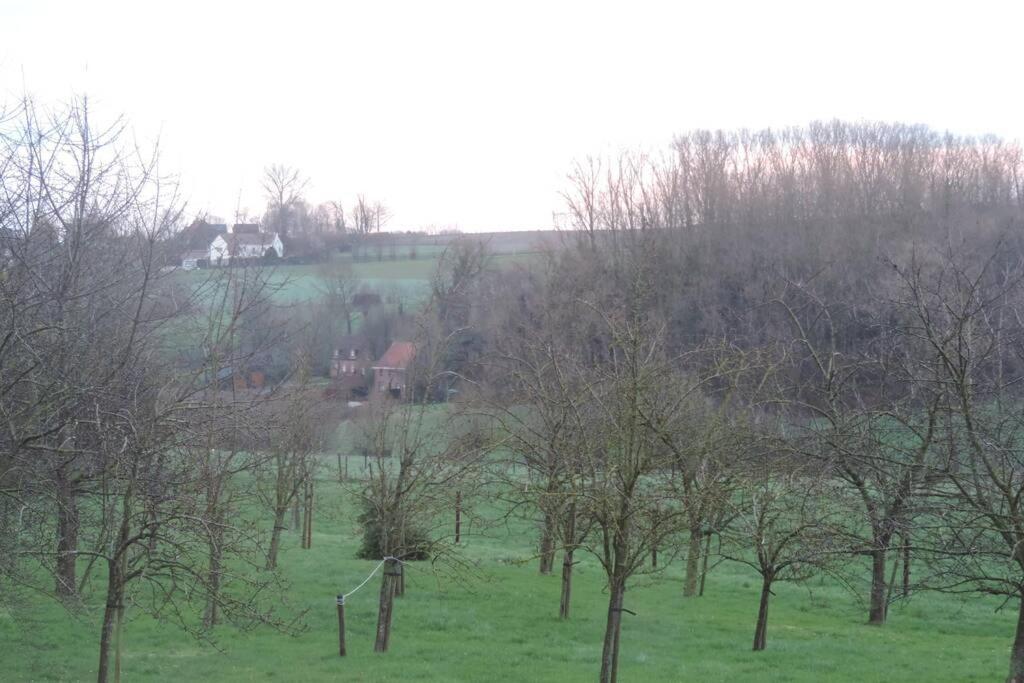 Vakantiewoning Zoetebeek 奥德纳尔德 外观 照片