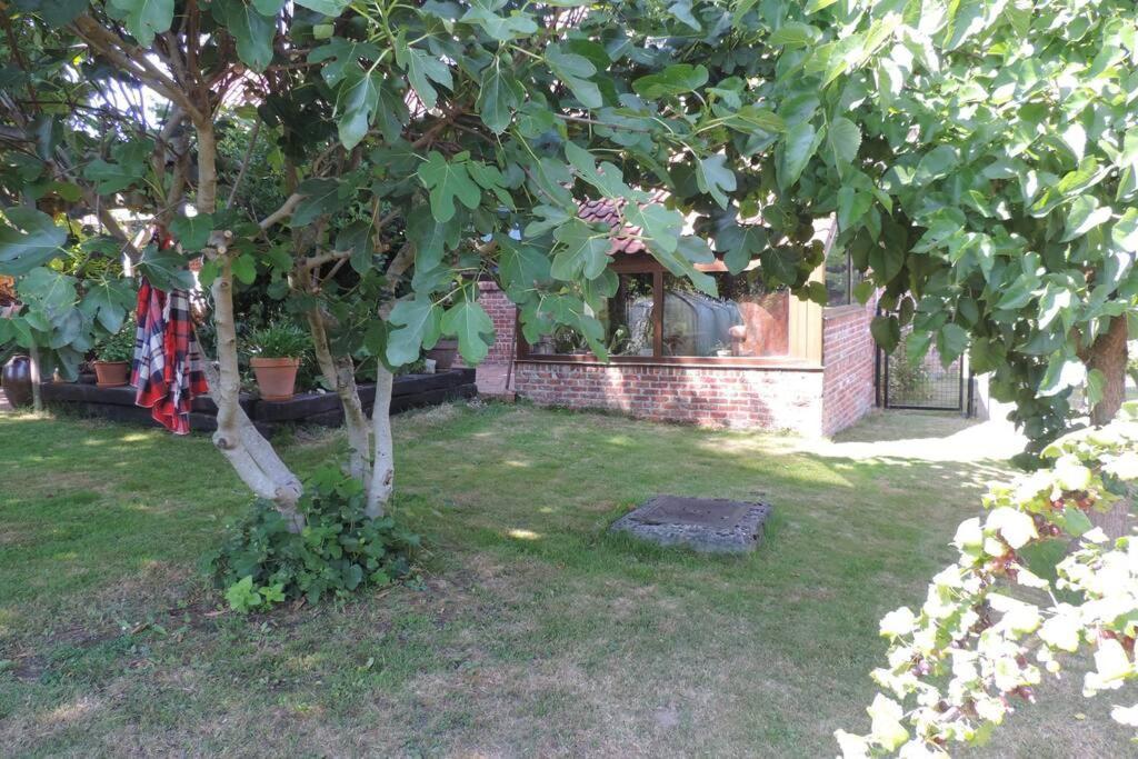 Vakantiewoning Zoetebeek 奥德纳尔德 外观 照片